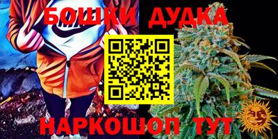 прущие крисы Бузулук
