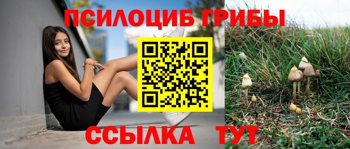Нижнеудинск  Псилоцибиновые грибы мухоморы  Галлюциногенные грибы прущие грибы  Вход с VPN 